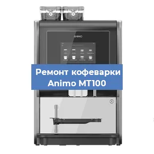 Замена прокладок на кофемашине Animo MT100 в Челябинске